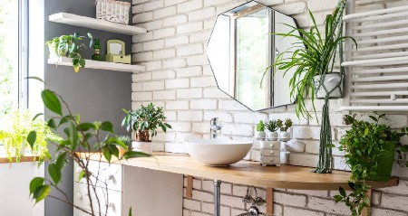 3 MIRISNE BILJKE IDEALNE SU ZA KUPATILO Prirodni su osveživač vazduha