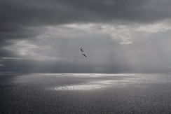 KLIMATSKI HAOS NA VRATIMA, MILIONI NA UDARU Čak i minimalno zagrevanje napraviće pakao ovim zemljama