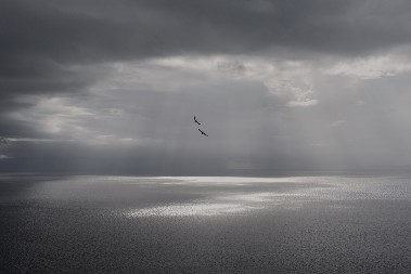 KLIMATSKI HAOS NA VRATIMA, MILIONI NA UDARU Čak i minimalno zagrevanje napraviće pakao ovim zemljama