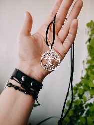 SVI SU POLUDELI ZA LANČIĆIMA S KELTSKIM DRVETOM Prava poruka će vas zapanjiti