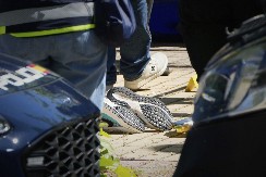 DETALJI OD KOJIH ĆE VAM STATI DAH Ukrajinski političar ubijen na surov način, jedna stvar potpuno zbunjuje narod