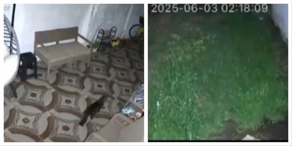 DEČAK (14) UMRO USLED PANIKE, 69 LJUDI JE POVREĐENO Strašan zemljotres pogodio tursko letovalište (VIDEO)