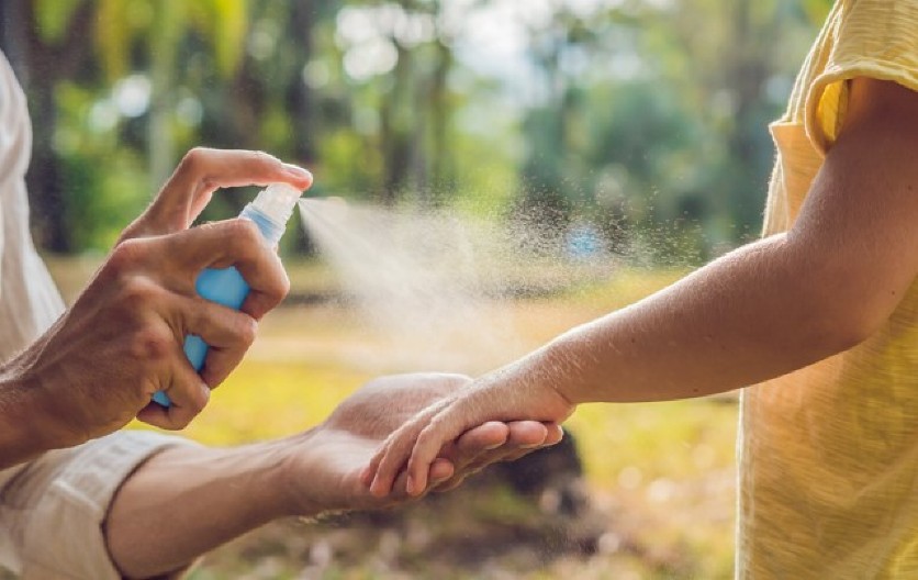 NAJEZDA KOMARACA, KRPELJA I BUBAŠVABA U BEOGRADU Evo gde su najbrojniji i kako da se sačuvate