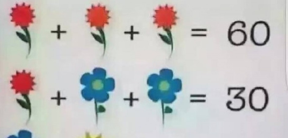 MOŽETE LI VI DA REŠITE OVO? Mozgalica sa cvećem zaludela internet – čak ni profesori nisu sigurni u tačan odgovor! (FOTO)