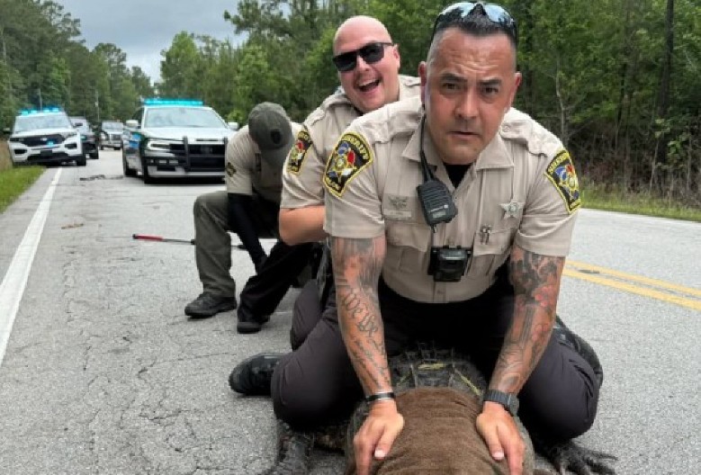 ZVER OD TRI TONE NAPRAVILA HAOS U SAOBRAĆAJU Ogroman predator ''bez lične karte'' izašao da se sunča, građani u panici! (FOTO)