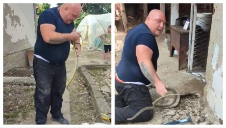 ’OĆE DA APE!" Cela Srbija zgranuto gleda šta radi Vladica sa zmijama u Leskovcu!