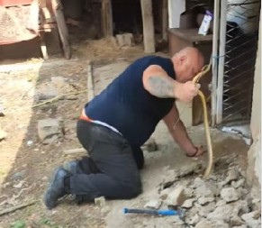 UZNEMIRUJUĆI SNIMAK IZ LESKOVCA: Zmije se uvukle porodici u temelje kuće – deca gledala kako ih vade! (VIDEO)