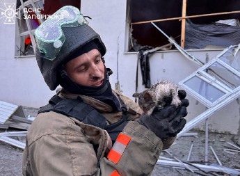 RAT, VATRA I JEDNO PRESLATKO STVORENJE: Fotografija iz Zaporožja koja vraća veru u ljudskost (FOTO)