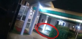 ČUDOVIŠTE ZALUTALO, PA ZAVRŠILO ISPRED HOTELA Gosti izleteli napolje vrišteći, snimak stvorenja kruži mrežama! (VIDEO)