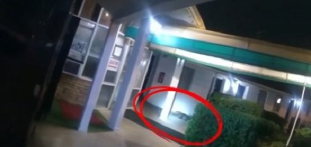 ČUDOVIŠTE ZALUTALO, PA ZAVRŠILO ISPRED HOTELA Gosti izleteli napolje vrišteći, snimak stvorenja kruži mrežama! (VIDEO)