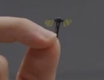 NEVEROVATNO Kinezi napravili dron veličine komarca