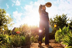 ZAŠTITITE SVOJE BILJKE OD PROPADANJA Obavezno ovo uradite pre nego što uđemo u avgust