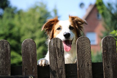 ŠTA SVAKI PAS URADI KAD OSETI LOŠU OSOBU Ovo je njihova reakcija, dobro je zapamtite