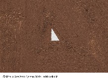 LETNJE IZLOŽBE U KULTURNOM CENTRU BEOGRADA  Tri zanimljive postavke otvaraju se 11. jula