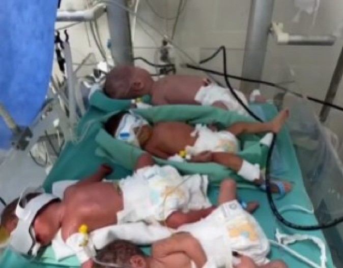 PET BEBA U JEDNOM INKUBATORU! Ovaj snimak prikazuje sav užas rata!