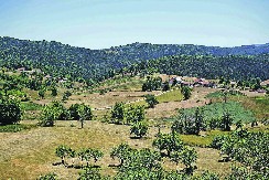 GOŠĆA IZ ZAGREBA PRODISALA NA PADINAMA GOLIJE! Selo Rudno koje ima samo 144 stanovnika kandidat za najlepše selo na svetu