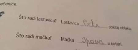 MALIŠAN POSTAO HIT NA INTERNETU Njegov odgovor iz domaćeg zadatka NASMEJAO CELU SRBIJU! (FOTO)