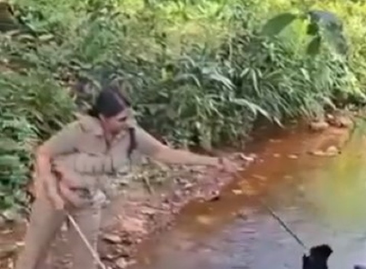 MEŠTANI MISLILI DA JE GRANJE, A ONDA SE POMERILO Džinovska zver od 6 metara vrebala iz potoka, prizor ledi krv u žilama! (VIDEO)