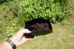 STAVITE OVO U DVORIŠTE I NEMA VIŠE KOMARACA Komšije neće verovati šta ste uradili