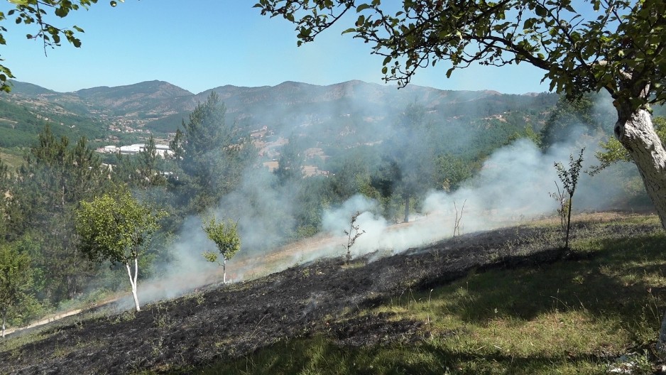 DRAMA U SELU KOD ČAČKA, JEDNA OSOBA TEŠKO POVREĐENA Vatra progutala voćnjak, meštani u strahu (FOTO)