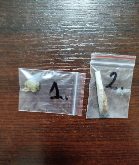 PAO DILER I KUPCI Prodao marihuanu devojci i momku, pa su skupa uhapšeni