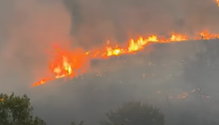 GORI ALBANIJA, LJUDI IZBEZUMLJENI! Vatra preti fabrici oružja, opasnost od eksplozije (VIDEO)