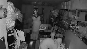 LOPOVI UKRALI LABUBU LUTKE Odneli robu vrednu više od 30.000 dolara