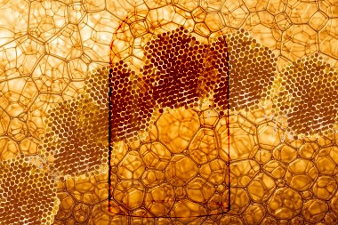 ZANIMLJIVA LIKOVNA IZLOŽBA OTVARA SE U UMETNIČKOM PROSTORU U 10 Nadahnuta je impresivnim oblicima iz prirode