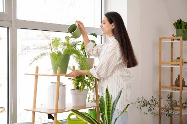 POSPITE OVAJ ZAČIN PO BILJKAMA Štiti ih od buđi i štetočina, a evo koji sastojak je odličan za đubrivo
