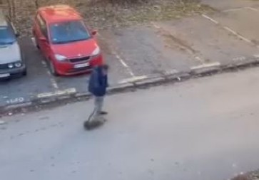 MALTRETIRANJE PSA U MLADENOVCU! Čovek nemilosrdno vuče psa na povocu, mališan udara u asfalt kao stara krpa (VIDEO)