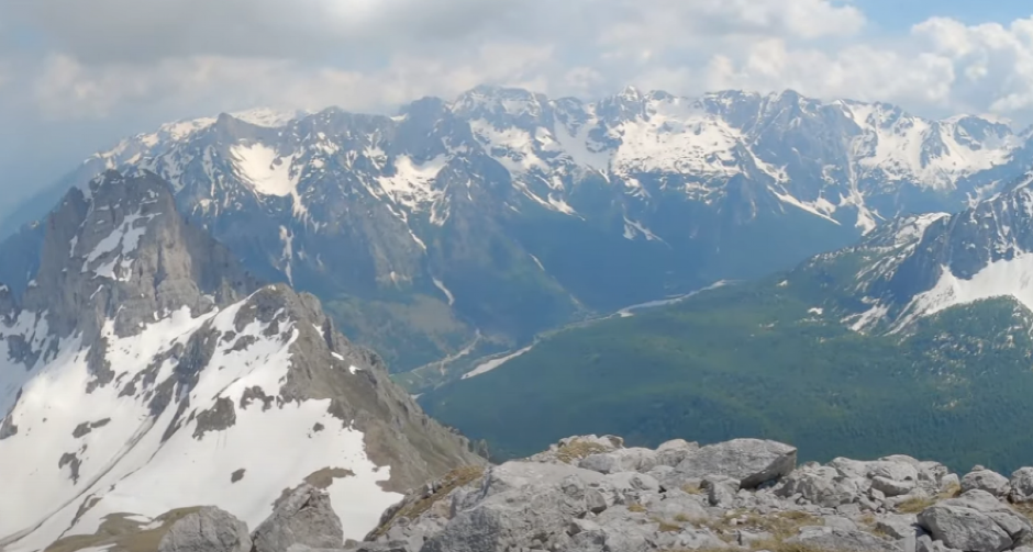 "ŠTETA SE MERI U MILIONIMA EVRA" Crnogorska udruženja se oglasila: Država nije zaštitila šume, ovo je ekološki genocid