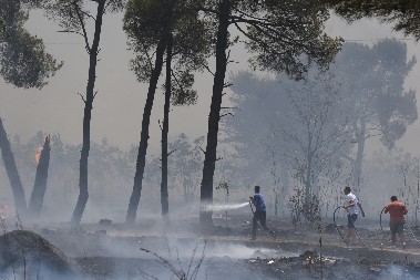 GORI NA SVE STRANE! Požari gutaju Crnu Goru – zatvoreni putevi, strah od noći i vetra (VIDEO)