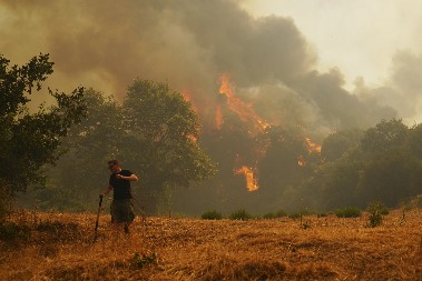 PLJEVLJAK PALIO TRAVU PA IZAZVAO POŽAR  Vatru nije mogao da kontroliše pa se ona proširila, sada je uhapšen