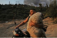 FOTOGRAFIJA KOJA JE OSVOJILA SVET Heroj na motociklu spašava ovcu iz jezivog požara