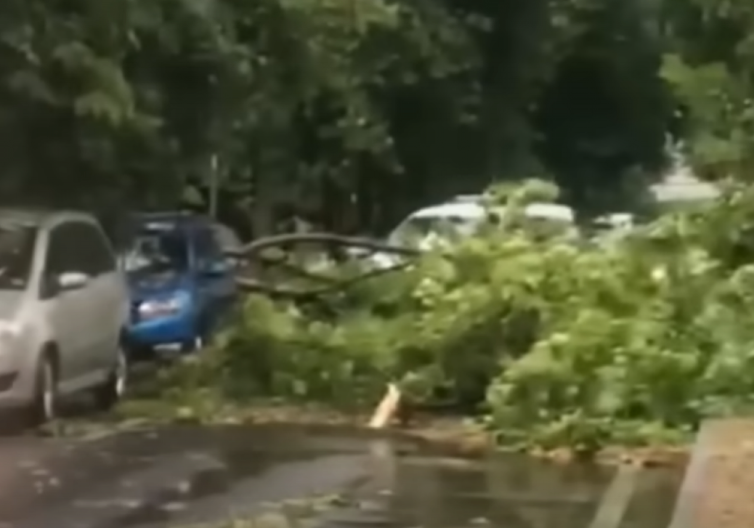 OLUJA RUŠILA STABLA, MNOGO JE DEMOLIRANIH KOLA Haos u centru grada, komšije pretrpele veliku štetu