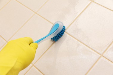 NEKA VAM BUDE PRI RUCI Za čistu kuću potreban je samo jedan proizvod, nije sirće, a ni soda