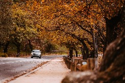 VOZAČI, PAZITE! Ovo u jesen je opasnije od leda i može da vas uništi