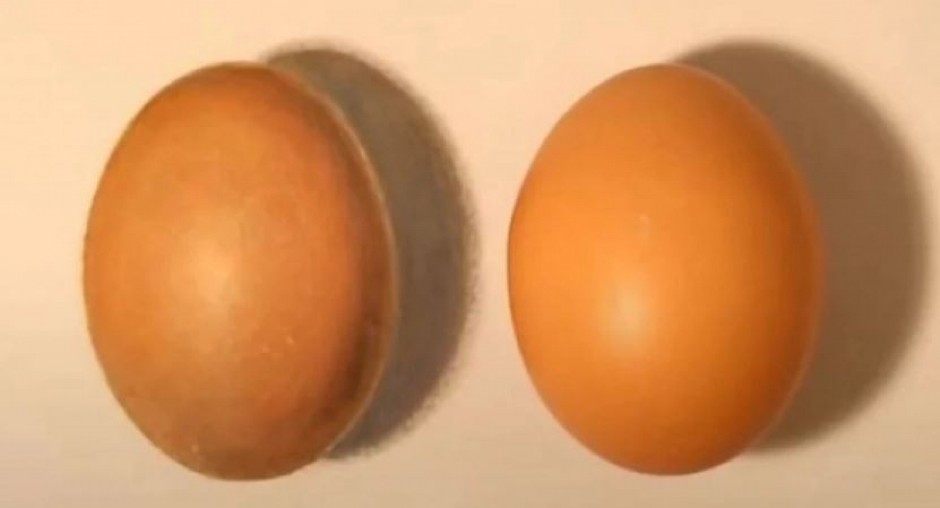 MOZGALICA KOJA JE ZALUDILA MILIONE Za deset sekundi otkrijete koje je pravo jaje