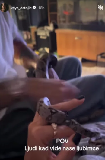 NEPRIJATAN PRIZOR! Pevačica u stanu gaji dve zmije, pokazala kako se ona i suprug igraju s ljubimcima