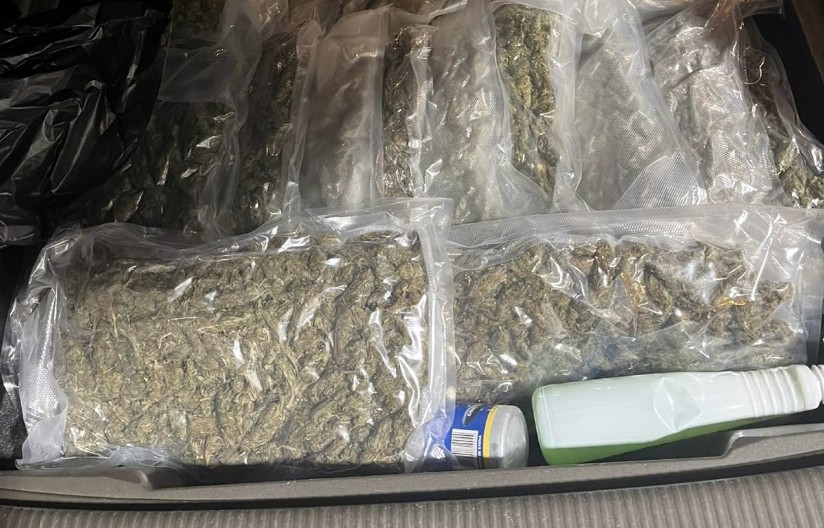 U KUĆI IMAO PRAVU FABRIKU MARIHUANE Uhapšen muškarac (35) iz Stare Pazove