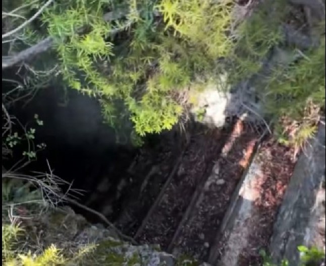 ŠETAO JE ŠUMOM I NAIŠAO NA NEŠTO JEZIVO Kad je video kuda vode stepenice, sledio se od straha! (VIDEO)