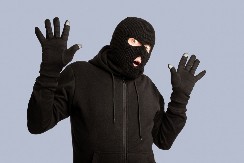 U ŠPANIJI UHAPŠENI LOPOVI SA NEOBIČNIM PLENOM Ljudi ne veruju šta im je palo na pamet - evo šta su ukrali