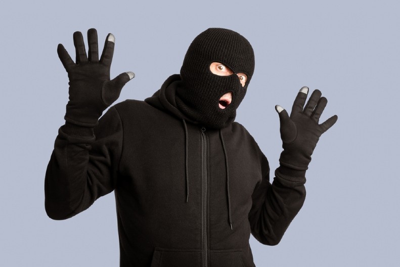 U ŠPANIJI UHAPŠENI LOPOVI SA NEOBIČNIM PLENOM Ljudi ne veruju šta im je palo na pamet - evo šta su ukrali