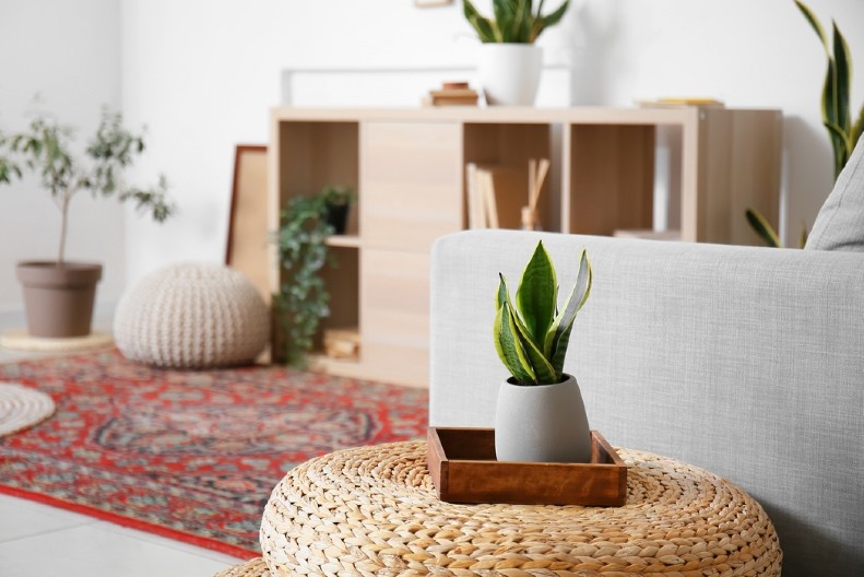 KAKO POSTIĆI HARMONIJU PRILIKOM UREĐENJA DOMA? Stručnjaci tvrde da na atmosferu u kući najviše utiče jedna stvar