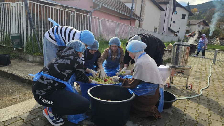 JABUKE SMO SAMI BRALI, A ZATIM OD NJIH CEDILI SOK Preko 300 đaka radi u učeničkoj zadruzi u Brodarevu kao što se to radilo nekad