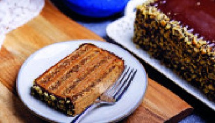 SA REFORMA TORTOM NIKAD NEMA GREŠKE Vole je svi od 7 do 107 godina