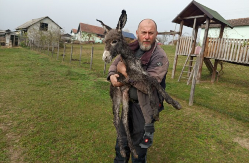 NA SVET DOŠLO MAGARE SA KRSTOM NA LEĐIMA Nesvakidašnja radost pod Kozarom (FOTO)