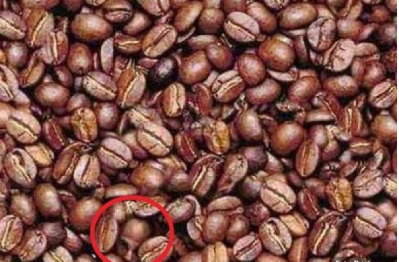 PRONAĐETE SKRIVENO LICE Vi ste genije ako ste uspeli za manje od 11 sekundi