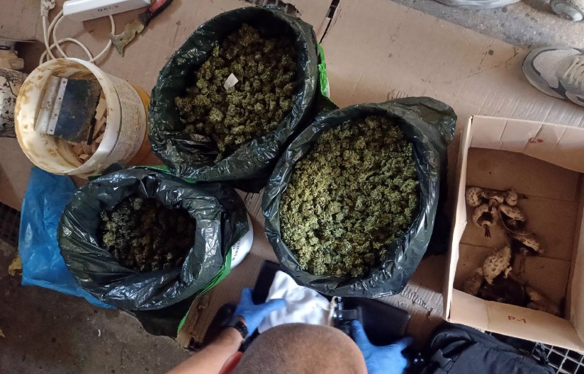 PALI NA DELU Prodali marihuanu pa uhapšeni