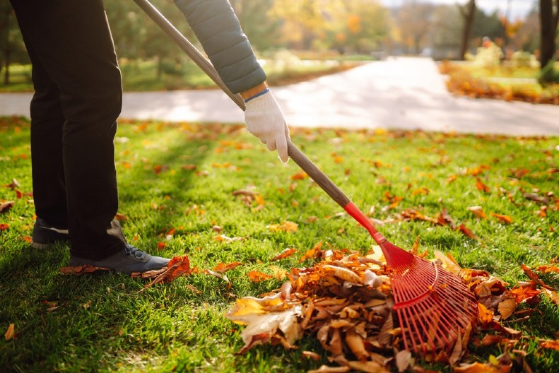 ZABORAVITE NA GRABULJANJE I SKUPLJANJE JESENJEG LIŠĆA Postoji jednostavniji i korisniji način da sredite baštu